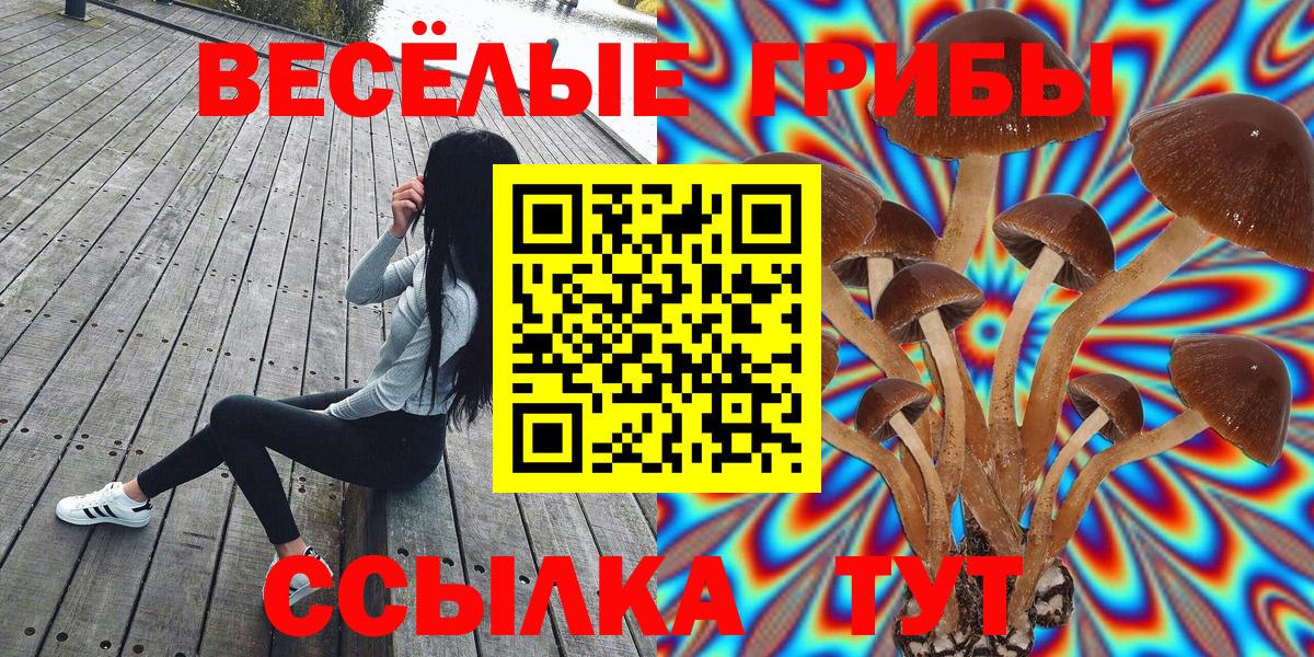 Псилоцибиновые грибы прущие грибы Мариинск
