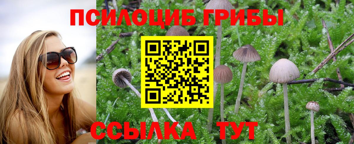 Мариинск  Галлюциногенные грибы Magic Shrooms  Вход с VPN 
